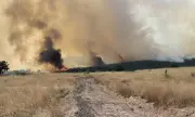 Пожар обхвана 800 декара край Полски Тръмбеш