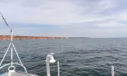 ������ ����� ���� ���������������� ������������ � ���������� ���� 