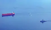 ������ �������� ����� � ��� �������� ��� ����� ���� ��������� �� ���