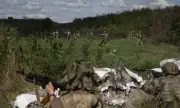 ������ ��� ��������� ���� ����� �� ����������� ����� ����� ���������� � ����