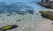 ������ 62-������� ��� ������ ��� ������ ���� �������