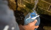 За достъпа до питейна вода, бутилираната вода и ефектите от пластмасата - Данита Заричинова от "За Земята" пред ФАКТИ
