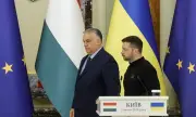 ������ ��������� �������� �� ������� ���������: ��� ����� ��������� ������ ���� �����
