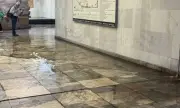 ������ �������� ��� ������� �������