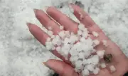 ������ ���� ������������ � ��� ���������� ������������� ������ �� ������