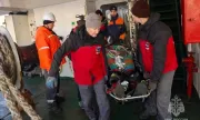 ������ ������� �� �������� ���� ��������: 25 �������, �������� �� � ������������