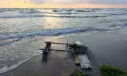 ������ ����� �� ���� �� ������� �� ���� ���� ���������