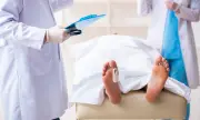      ,      