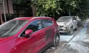 ������ ������� ��������� �������� ������ �� ���������� �� ����������� ��������� �� �����������