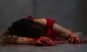  10 .    ,   ,       