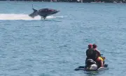 ������ ���� ��� ��������� �������� �� ������� ���������� �� ������������