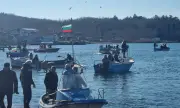 Засякоха 20 нови вида риби в Черно море