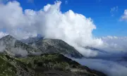 ������ ������� ����, �������� �� �������, 21 ���: ���� ��� �� ���� � �������� � 14 �������