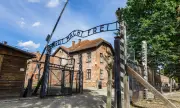 Тъмен туризъм: Инфлуенсъри се снимат с талибани и се крият в Аушвиц за забавление
