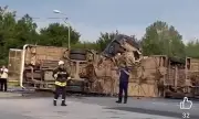 ������ ��� �� ���� �������� �� ������������ � ����� � �����