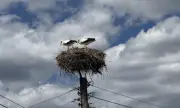 ������ ����� ���� ��� ������� � �������