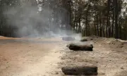 Сърбия отказва помощ на съседите заради кризата с пожарите в страната