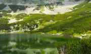   ,   , 15 :    ,   