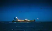 ������ ������ �������� ����������� �� ������ ������ ������ ���� ���, �������� � ���������