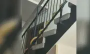 ������ ������ � ������� ���� � ������� ������ ������ ����