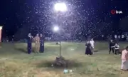 ������ ����� �� ����� ������� ������ � ������