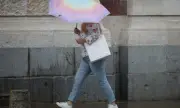   ,   , 12 :   ,     