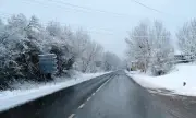Сняг вали в Рожен и Пампорово