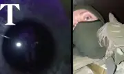  DeepState:     ,     