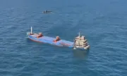 ������ ������ ����� �� ������ ���� ����� �� ��������������