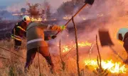 Президентът Радев отива в засегнатата от пожарите община Болярово