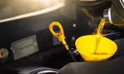 ������ ���� ������������ ���������� ����� ���� �� �����?