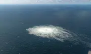 ������ ��� ������ ���� �� ������� �� ���� ������ ������� �����