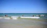 ������ ������� ����, �������� �� ������, 29 ������: �������� ������� ��� ������