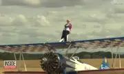 ������ 97-������� �������� ����� ���������� �� ������ �� ����� �� ����� ����� ������� �� ������� (�����)