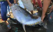 ������ ��� ���� �� ���� �� ������ �����