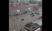 ������ ���������� � ��� ���� ����� ����