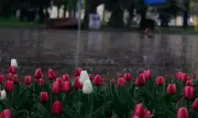 ������ ������� ����, �������� �� ����������, 8 ���: �������� ����� ����, ������������ ���������� ������ � �����������