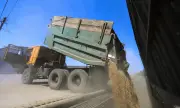 ������ ������� �� ������� ��� ������������ �������� �� ����� �� �����
