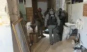 ������ ������ �� ��������� � ��������: ����� ����� �� ������ �����