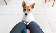 ������ ���� ������ �� ����� � ��������� ��: �������� �������� 5 �������