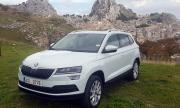 Колко харчи новата Skoda Karoq?