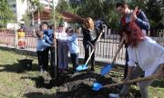 Трактор унищожи новозасадена гора край Мартен