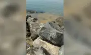 ������ ������� �� ������ �������: ������� ���� �� ������ �� ���������� ���� � ����� ����