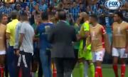 Рядко срещан бой на мач от Копа Либертадорес (ВИДЕО)