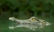 ������ ���� ������� ����� �� ������ ������ �� ������� ���� ���� ������