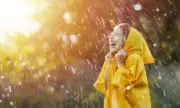   ,   , 13 : ,    