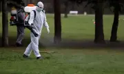       -    ?