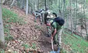 ������ ���� ���� ��� �����: ������� ������������ �� ���������� ����� � ��������
