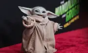 ������ 