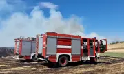 ������ ������ ����� ���� ������� ����